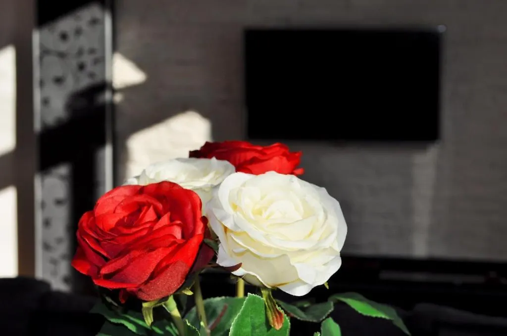 Welcome Budapest Apartments